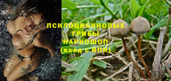 соль ск Балахна